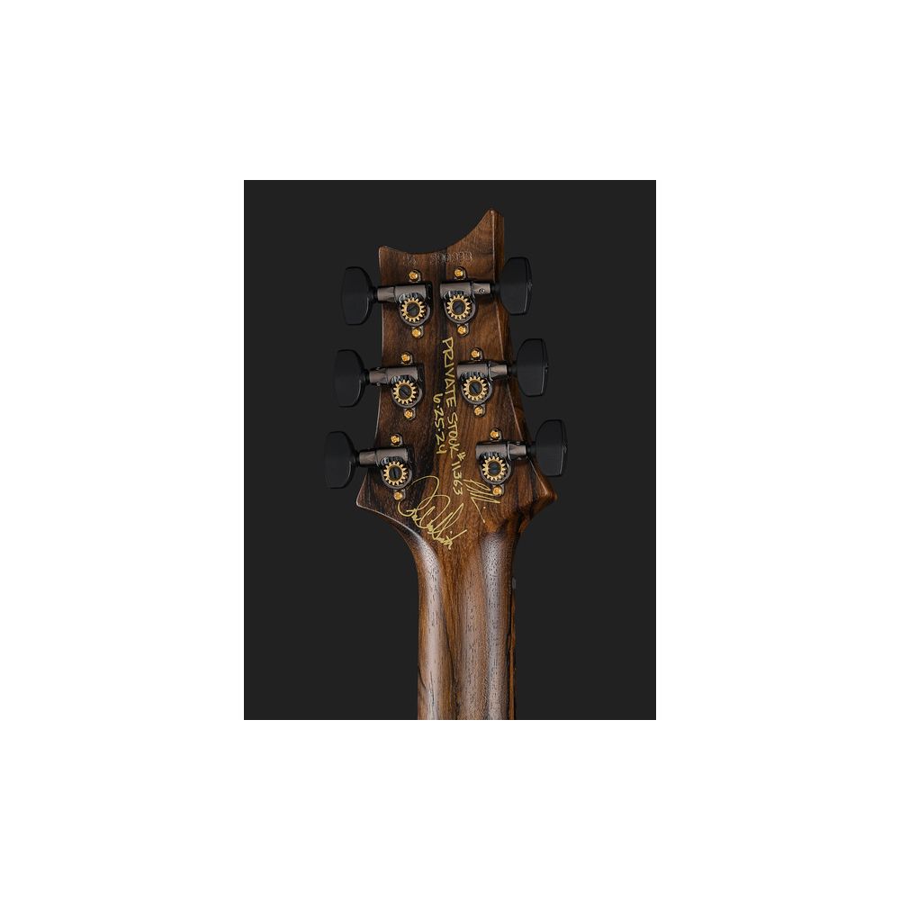 PRS Cu24 PS Sage Dragons Breath – Thomann Ireland