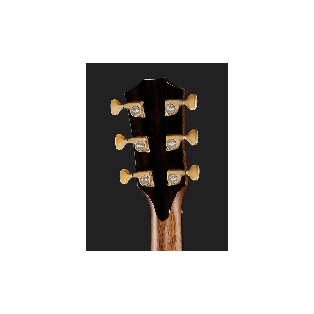 Taylor Builders Edition 912ce Sinker – Thomann Ireland