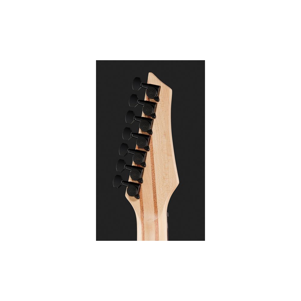 Harley Benton MultiScale