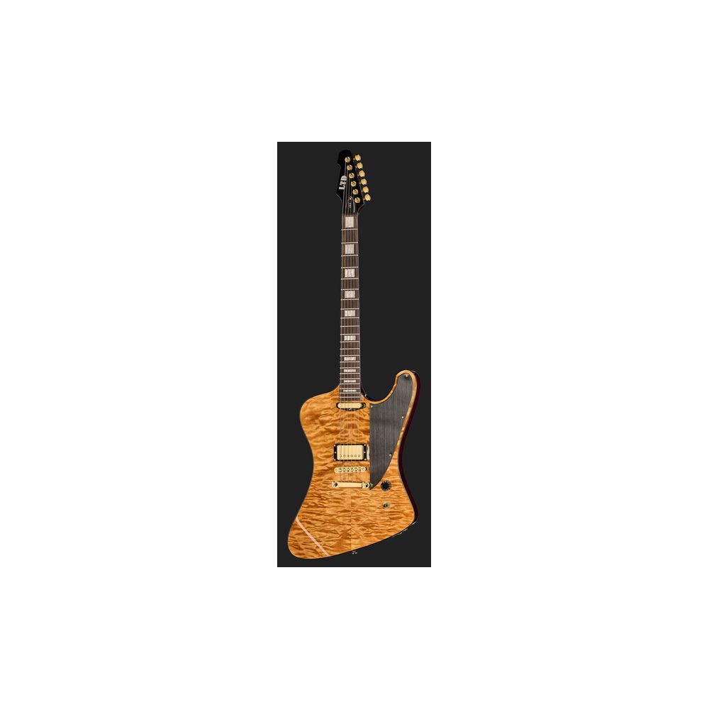ESP LTD CS