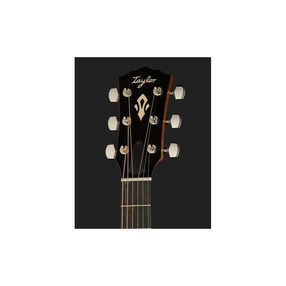 Taylor Gold Label 717e – Thomann Ireland