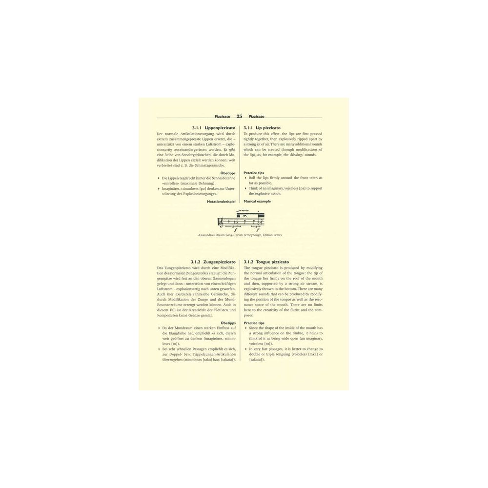 Bärenreiter Die Spieltechnik der Flöte – Thomann Ireland