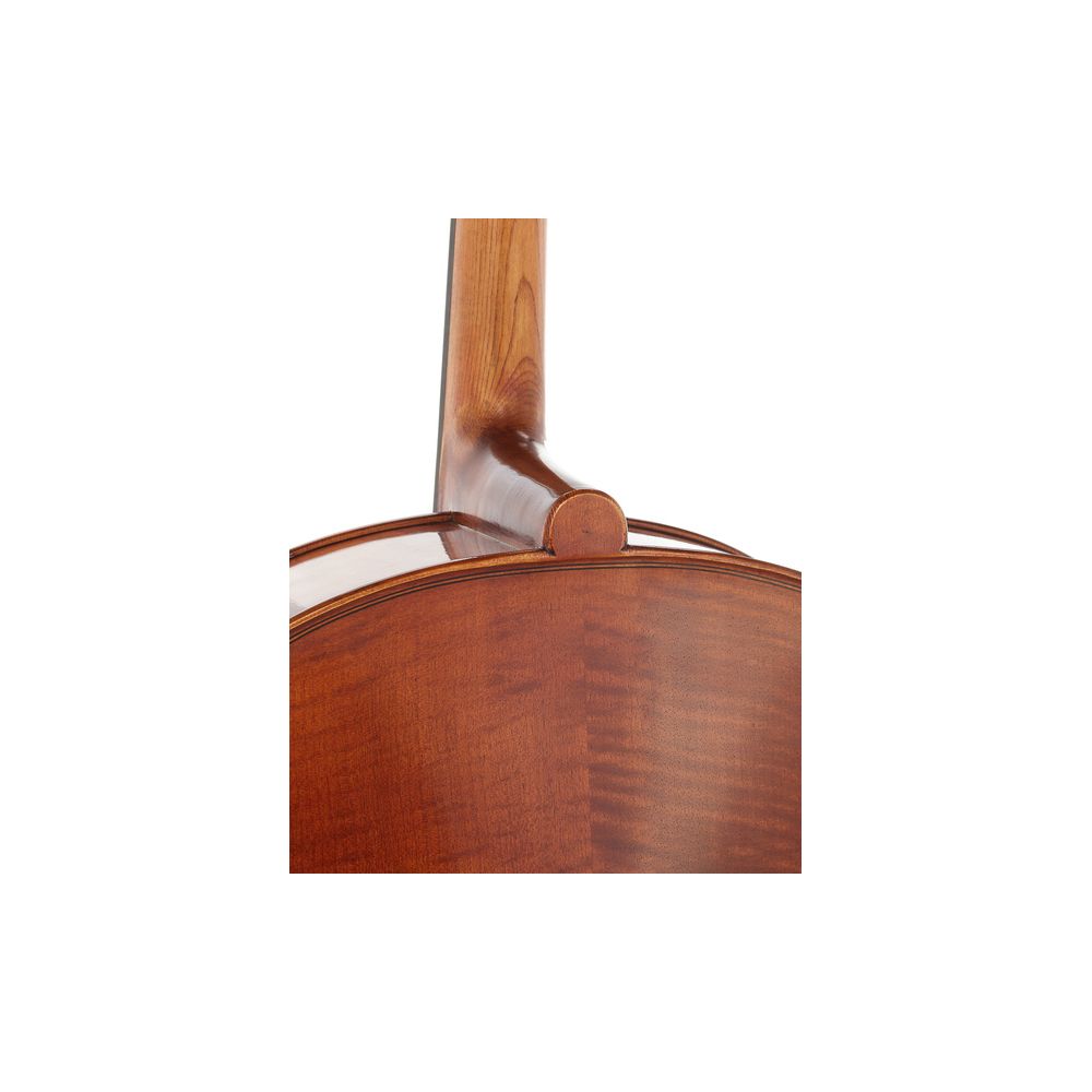 Gewa Maestro 31 Cello 4/4 – Thomann Ireland