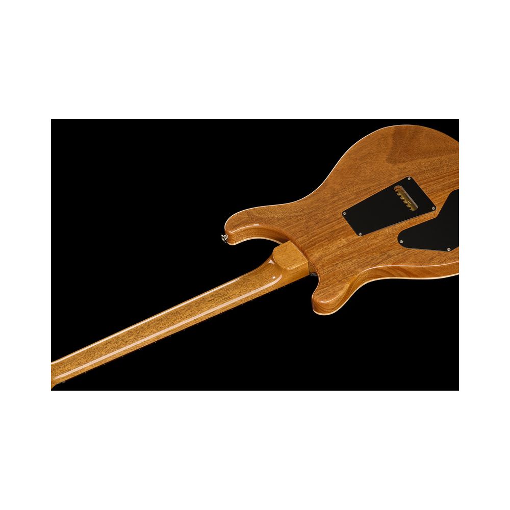 PRS DGT Birds Charcoal '24 – Thomann Ireland