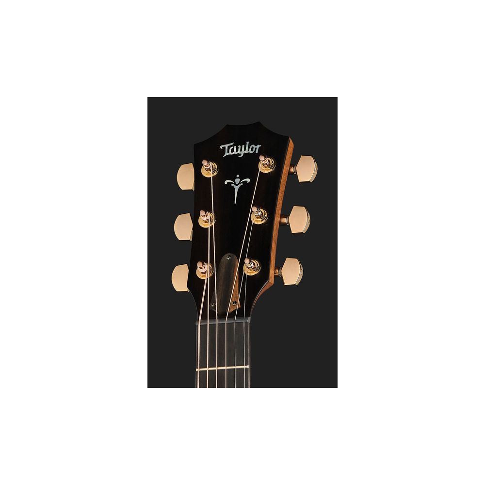 Taylor 724ce Gloss – Thomann Ireland