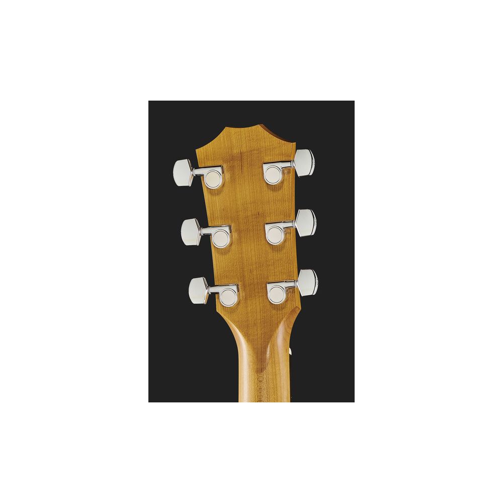 Taylor Academy Series 22e LH – Thomann Ireland