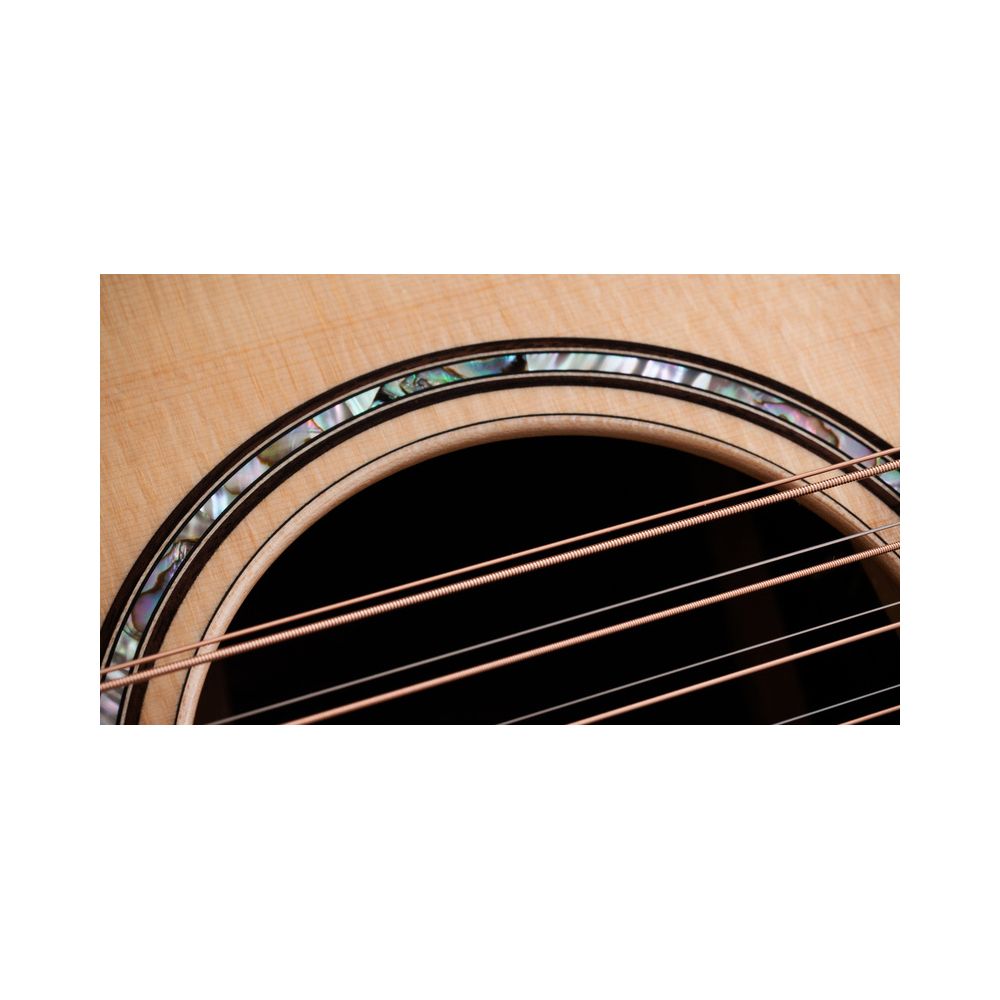 Taylor 854ce – Thomann Ireland