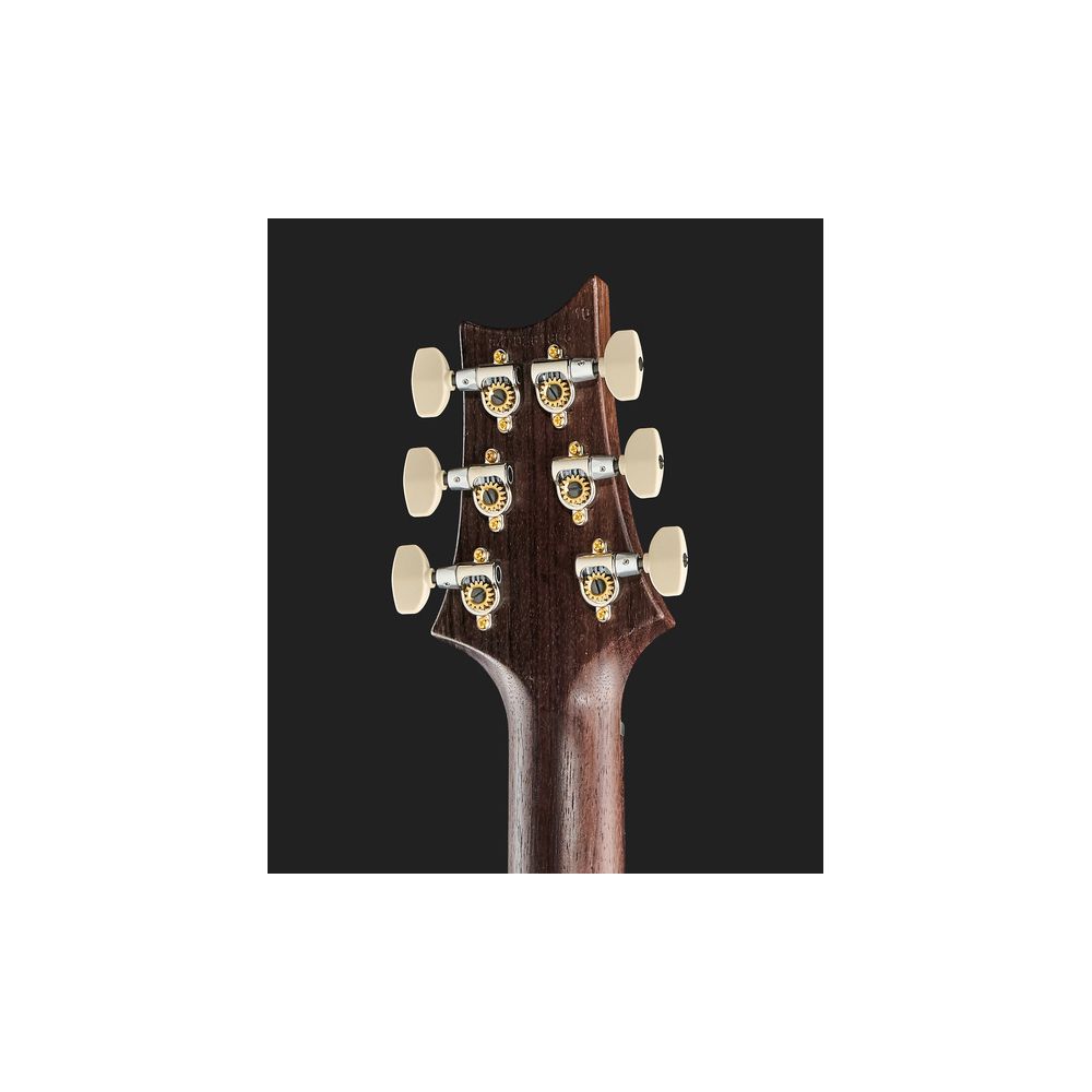 PRS Custom 24 Wood Library CH – Thomann Ireland