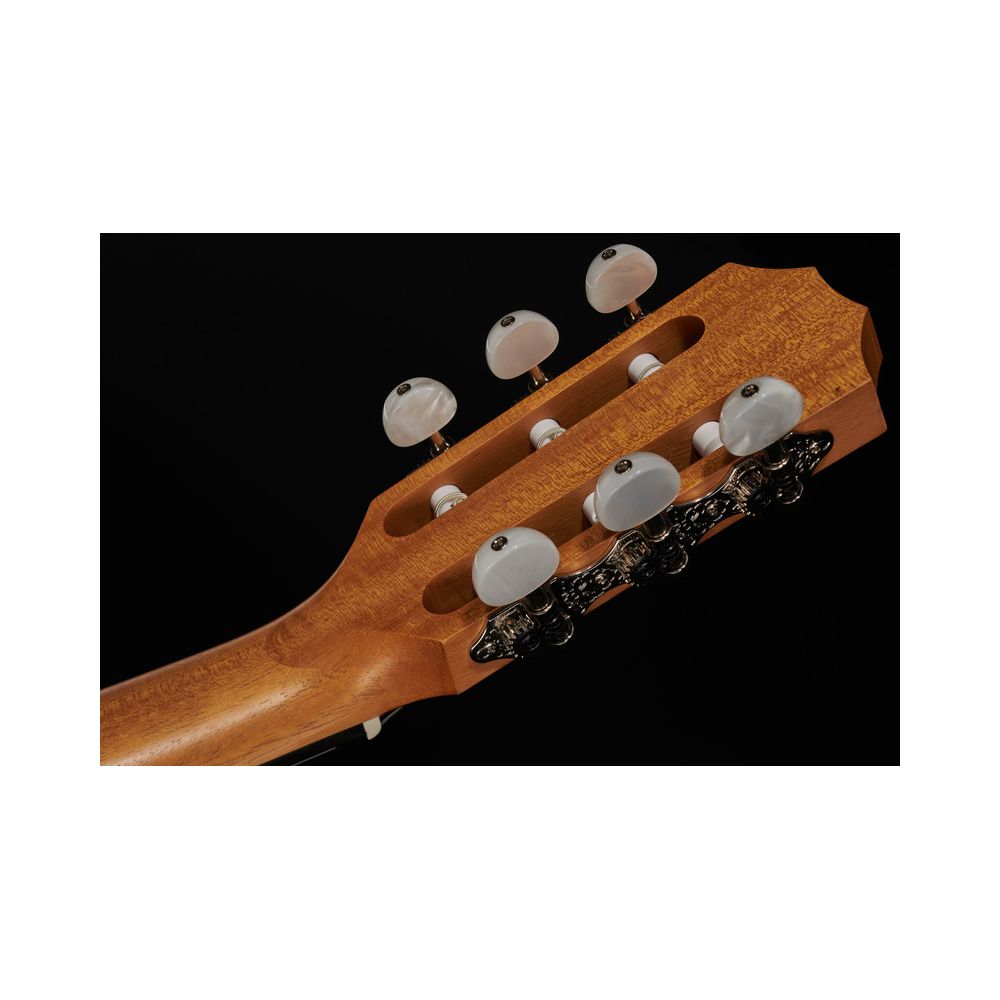 Taylor Academy Series 12