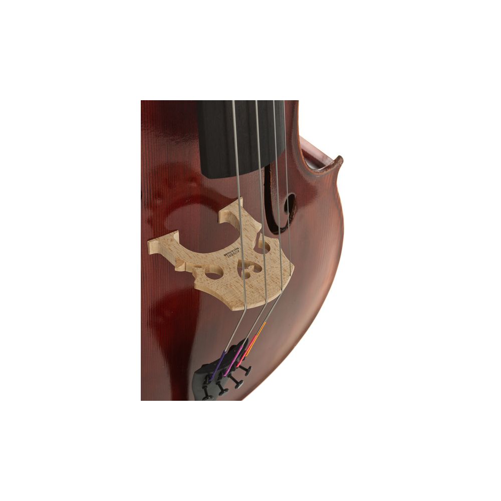 Gewa Maestro 2 Cello 4/4 – Thomann Ireland