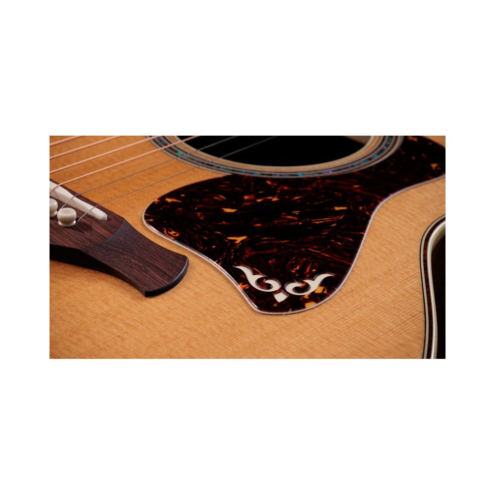 Taylor Gold Label 814e – Thomann Ireland