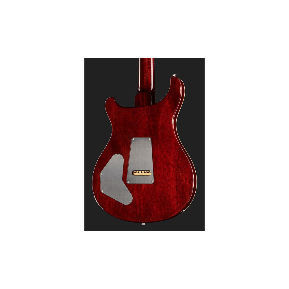 PRS DGT Birds DS – Thomann Ireland
