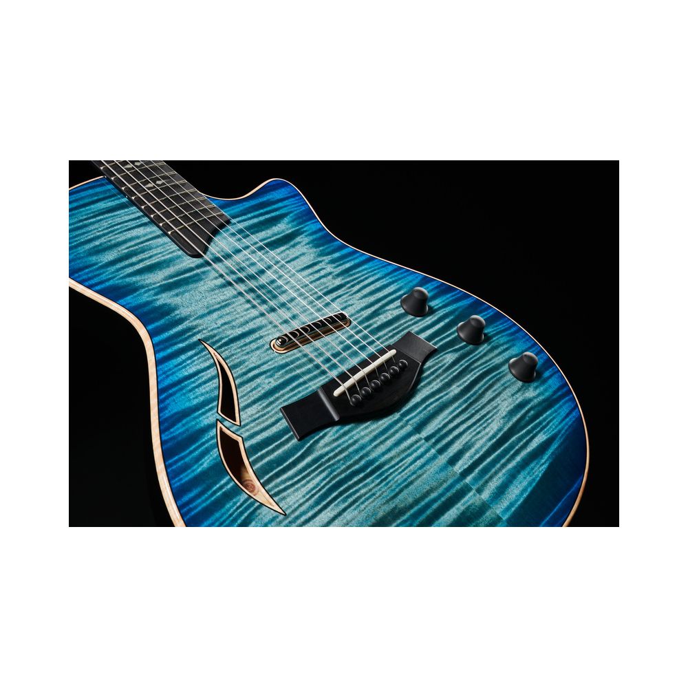 Taylor T5z Pro HB – Thomann Ireland