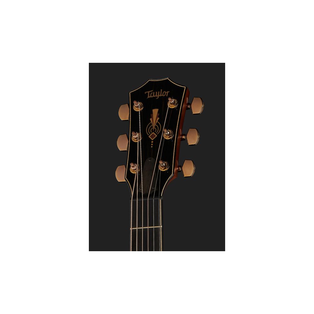 Taylor C24ce Grand Auditorium Custom – Thomann Ireland