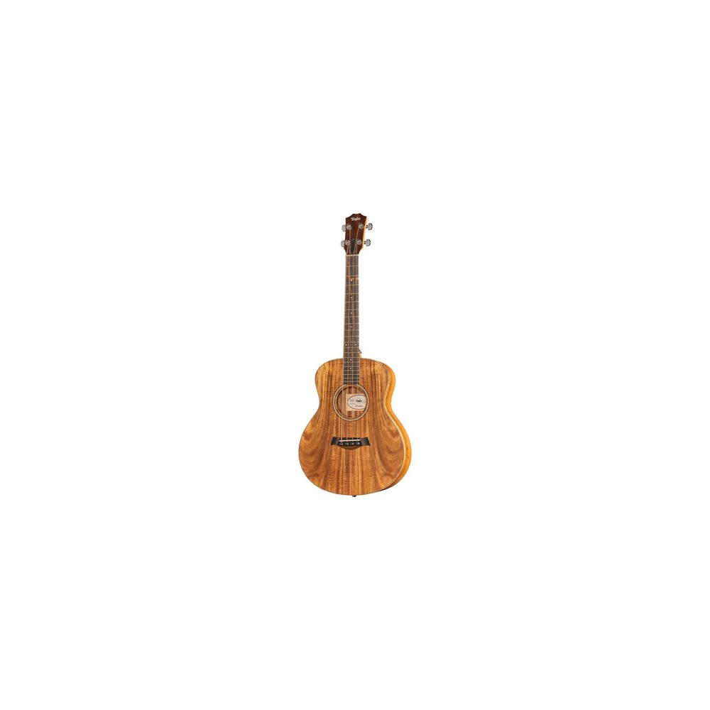 Taylor GS Mini
