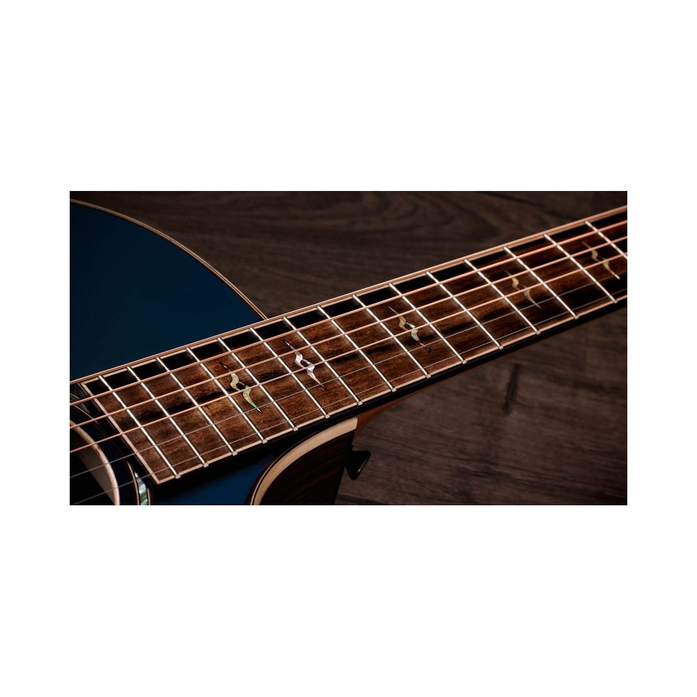 Taylor 814ce Special Edition Sapphire – Thomann Ireland