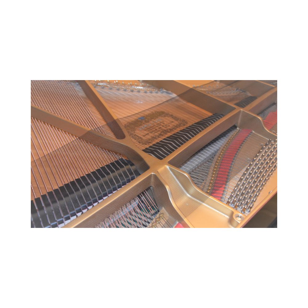Fontander Piano Net – Thomann Ireland
