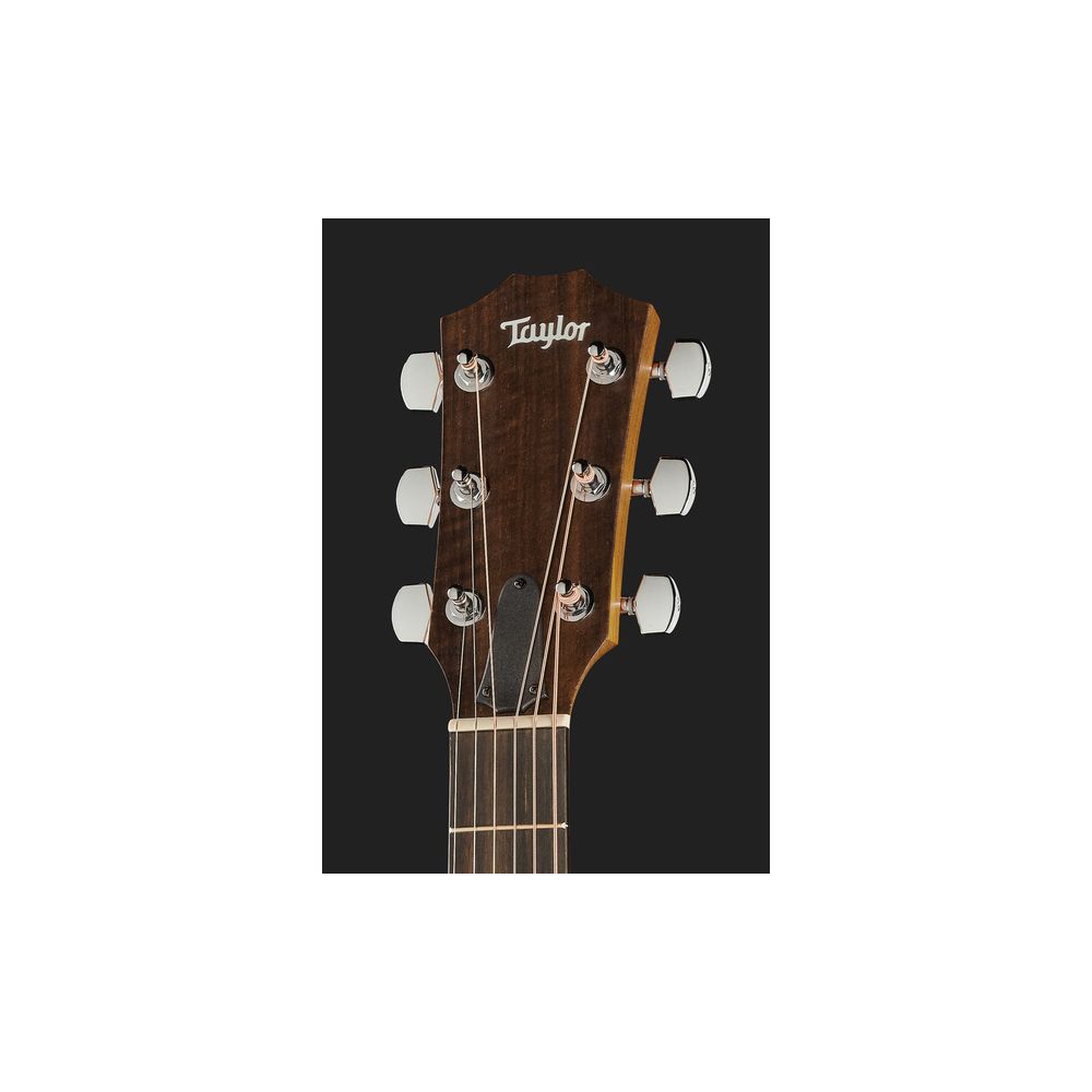 Taylor Academy Series 22e LH – Thomann Ireland