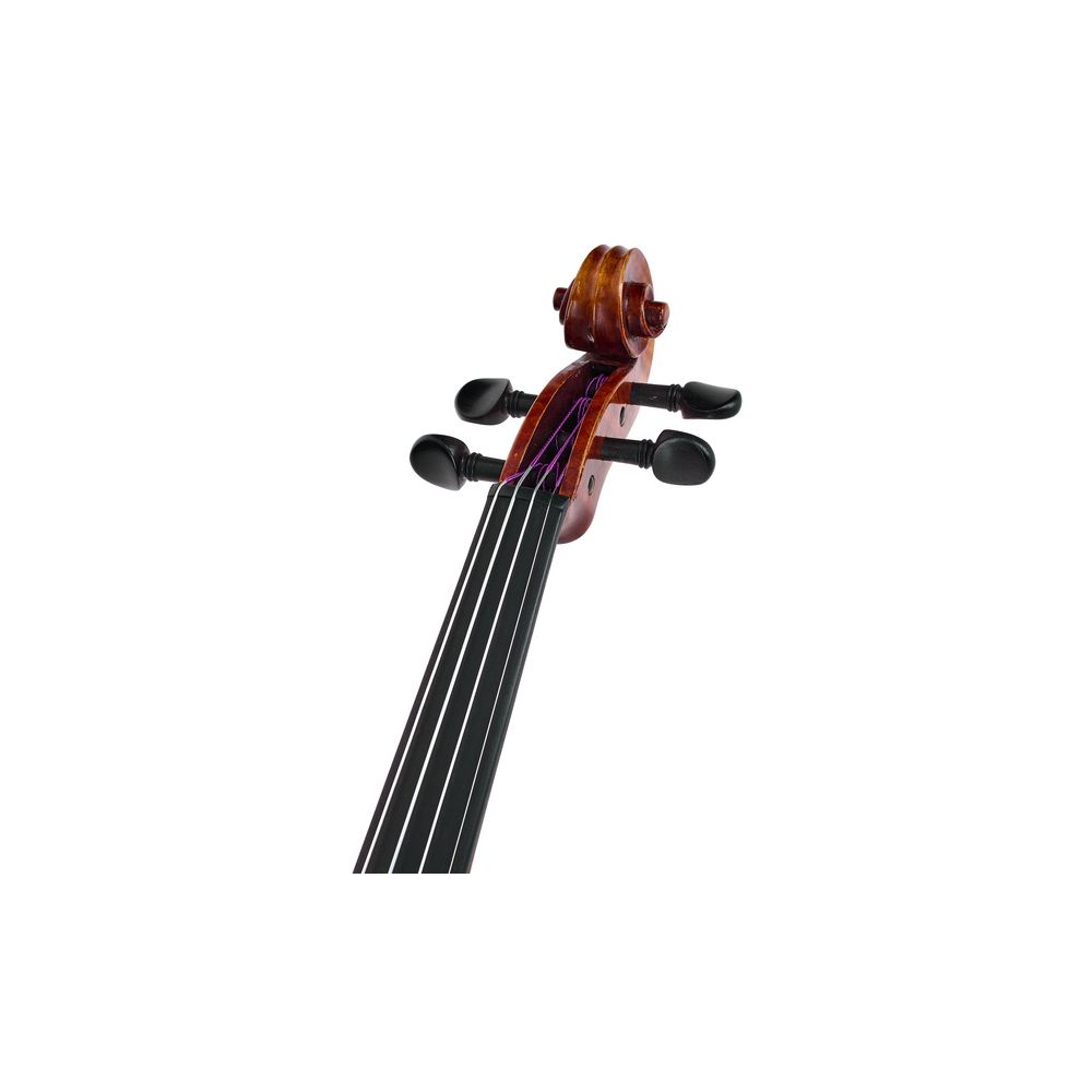 Gewa Maestro 6 Antiqued Violin 1/2 – Thomann Ireland