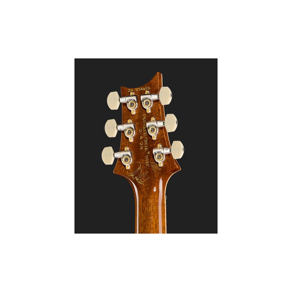 PRS Cu24 PS Aqua Violet Dragons – Thomann Ireland