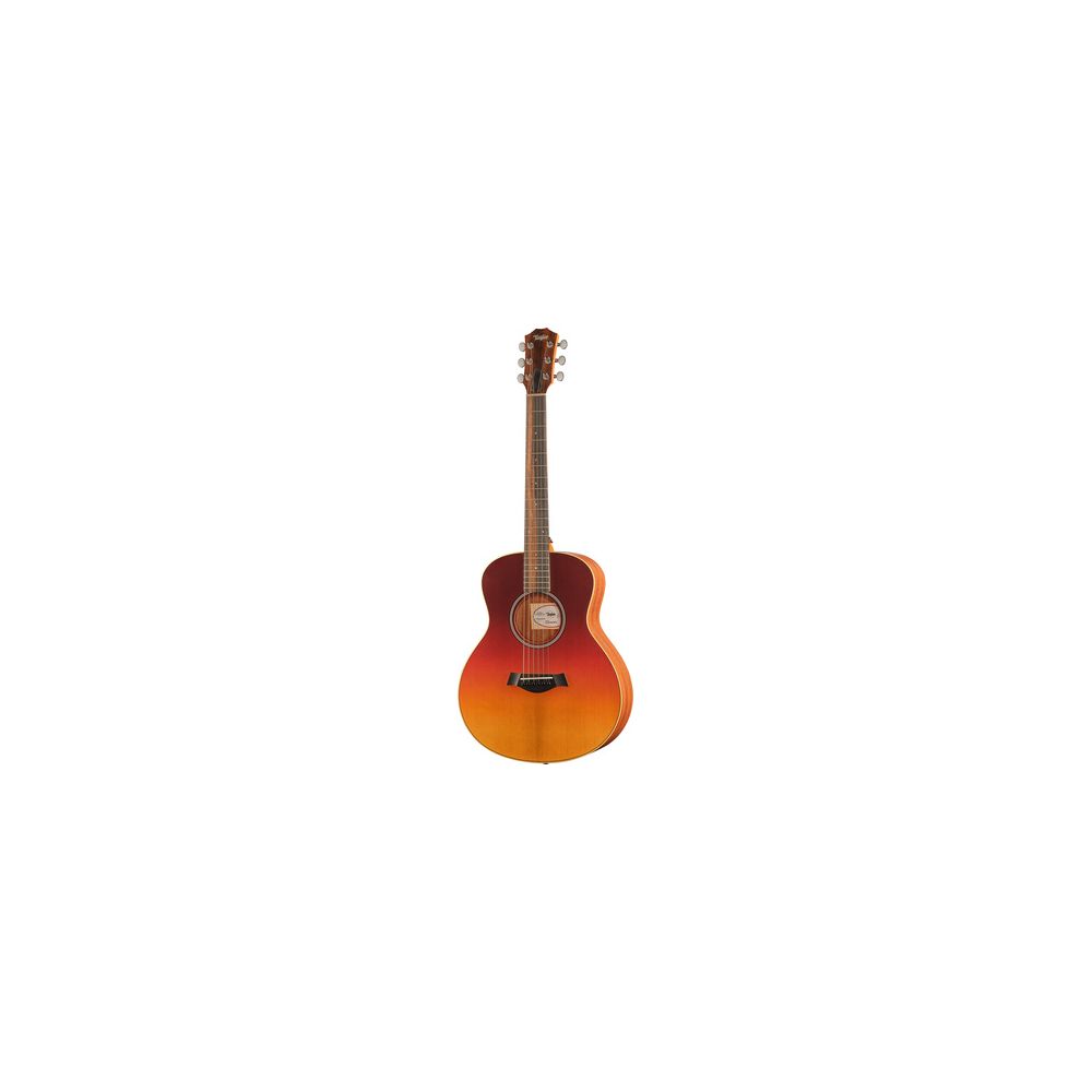 Taylor GS Mini