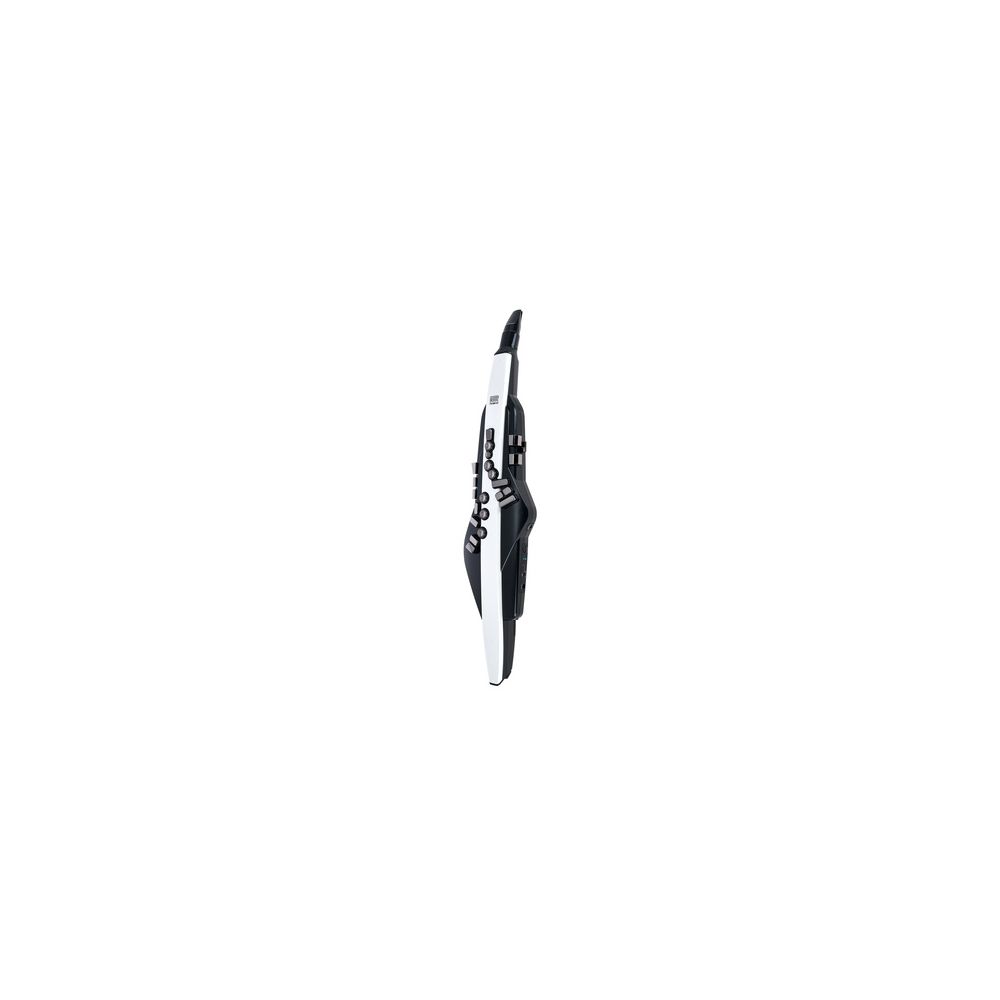 Roland Aerophone AE