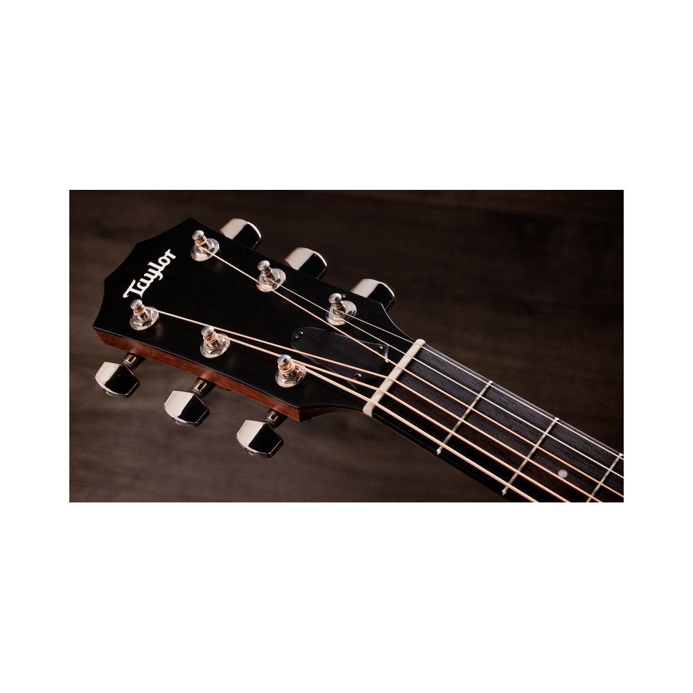 Taylor 414ce Studio Shaded Edgeburst – Thomann Ireland