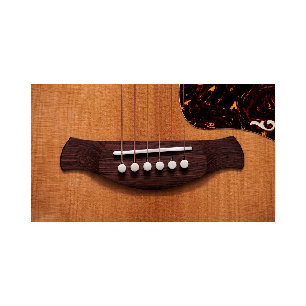 Taylor Gold Label 814e – Thomann Ireland