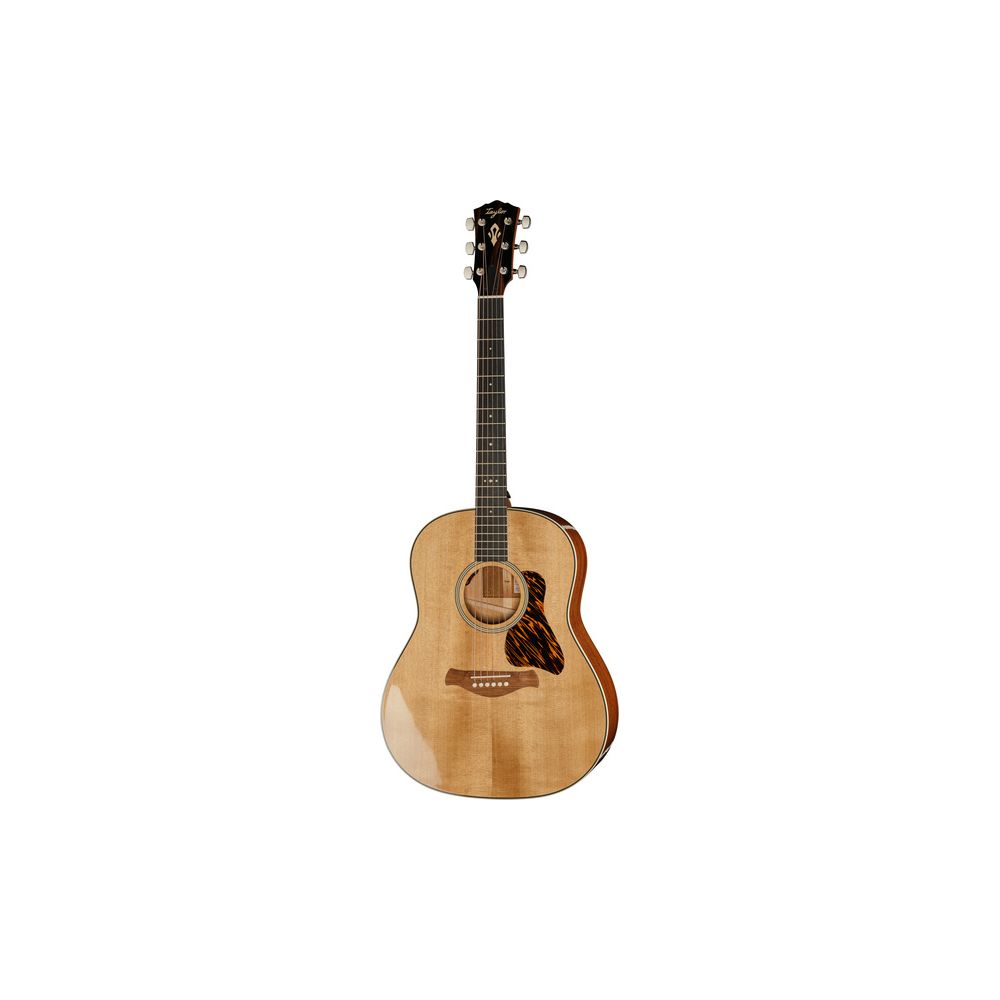 Taylor Gold Label 517e – Thomann Ireland