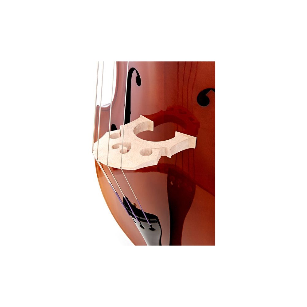Thomann 11 3/4 Europe Double Bass – Thomann Ireland