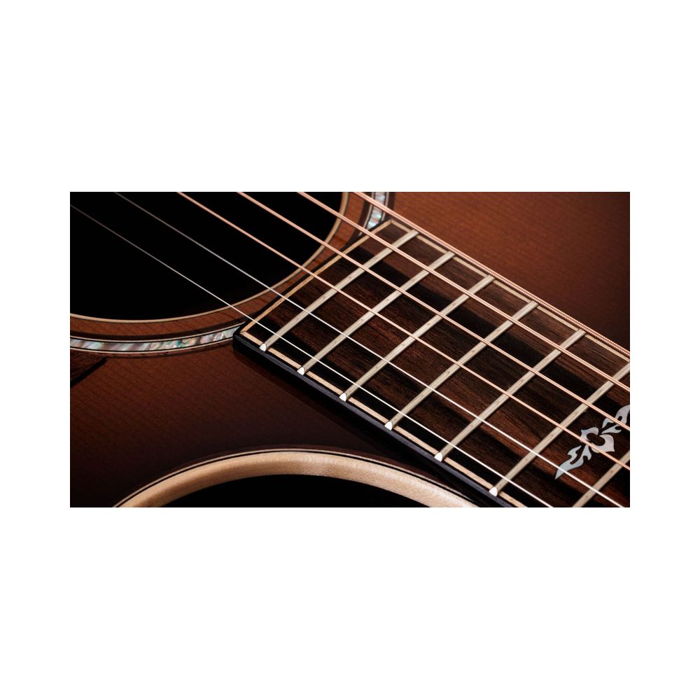 Taylor 814ce Special Edition Charcoal – Thomann Ireland