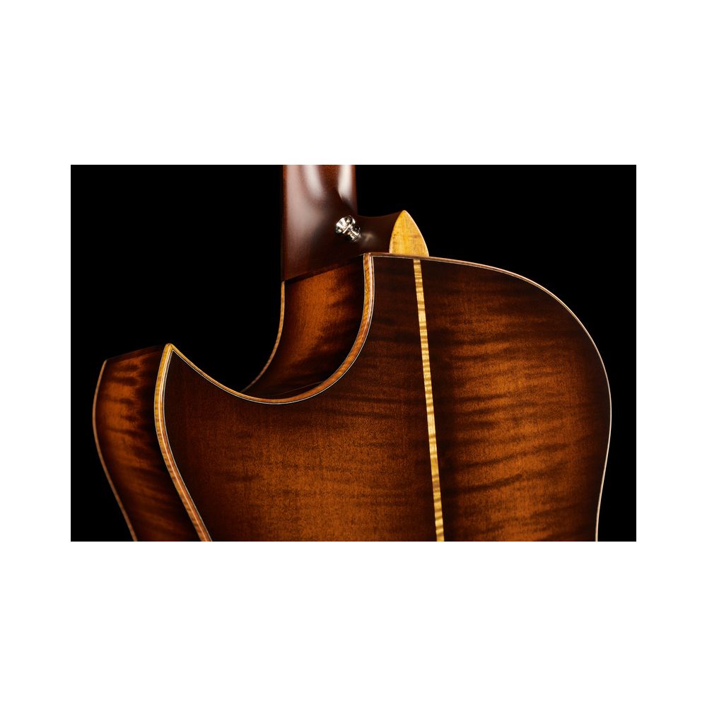 Taylor Custom #12 Gr. Audit. Bushfire – Thomann Ireland