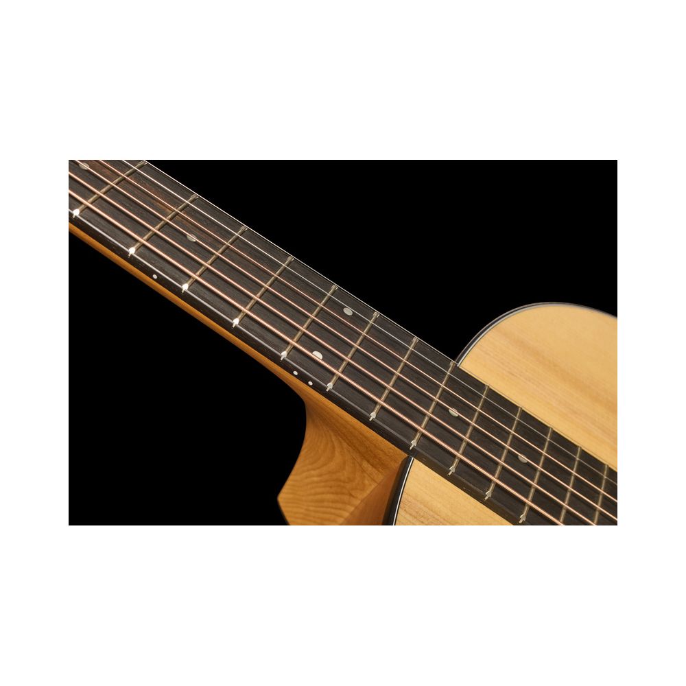 Taylor 117e Grand Pacific – Thomann Ireland