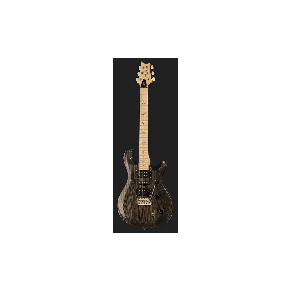 PRS SE Swamp Ash Special CH – Thomann Ireland