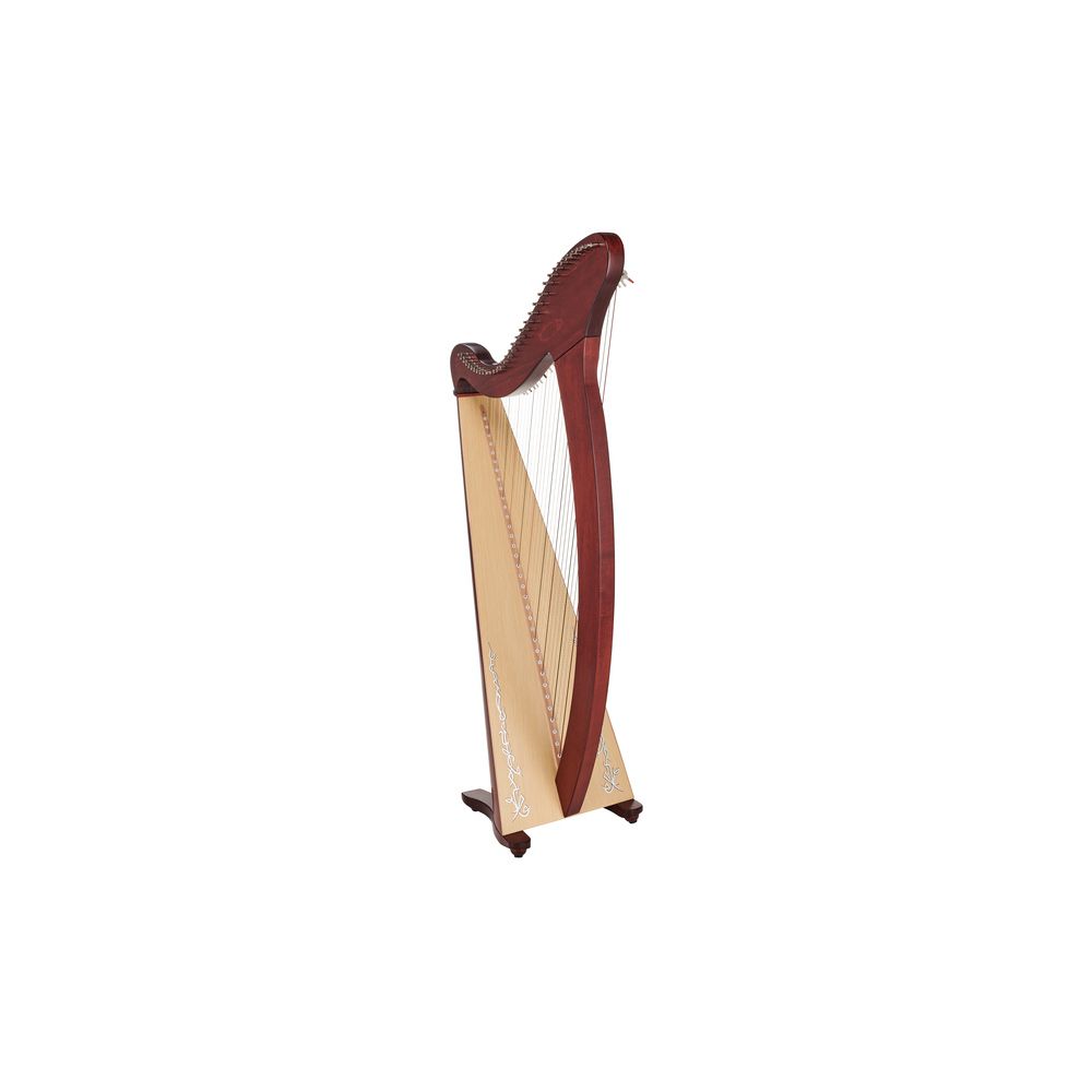 Salvi Donegal 34 Mahogany – Thomann Ireland