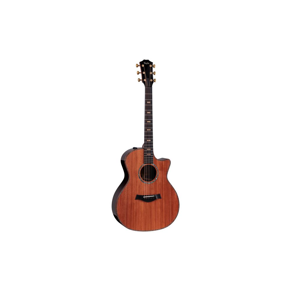 Taylor Custom #7: Horizons – Thomann Ireland