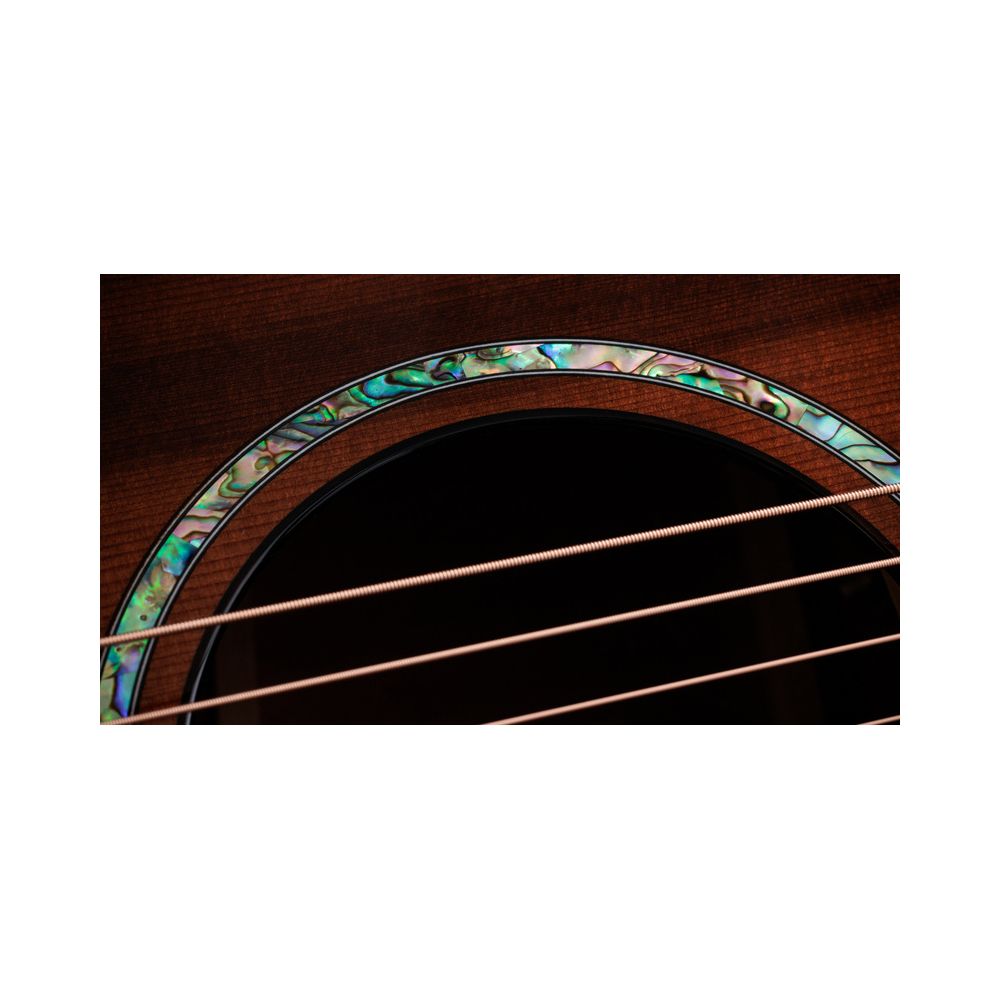 Taylor PS14ce Figured Urban Ironback – Thomann Ireland