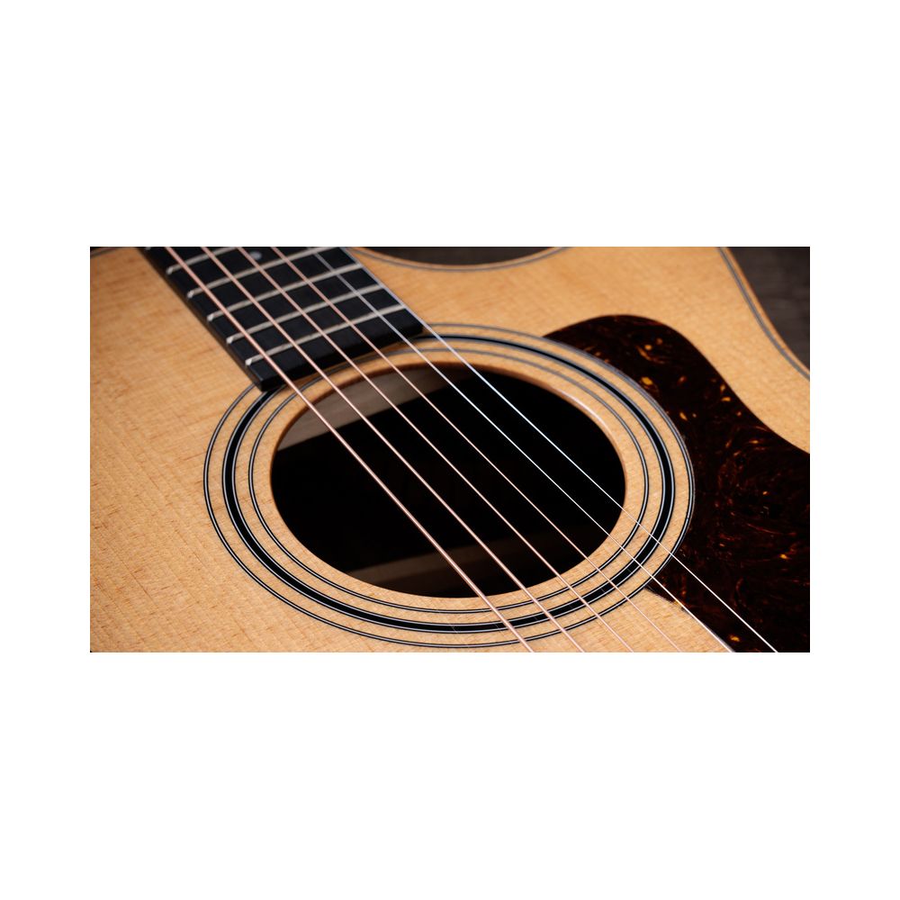 Taylor 414ce Studio – Thomann Ireland