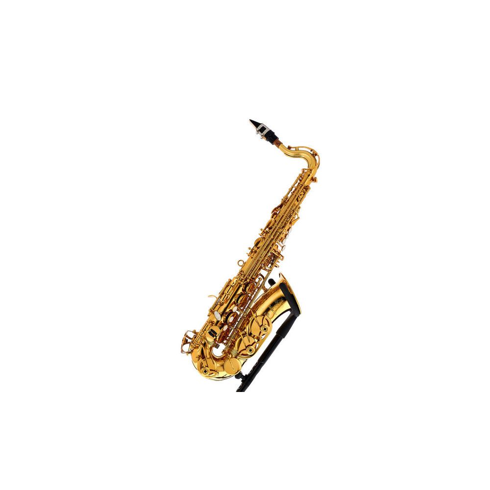 Thomann Little Bee Kids Saxophone – Thomann Ireland