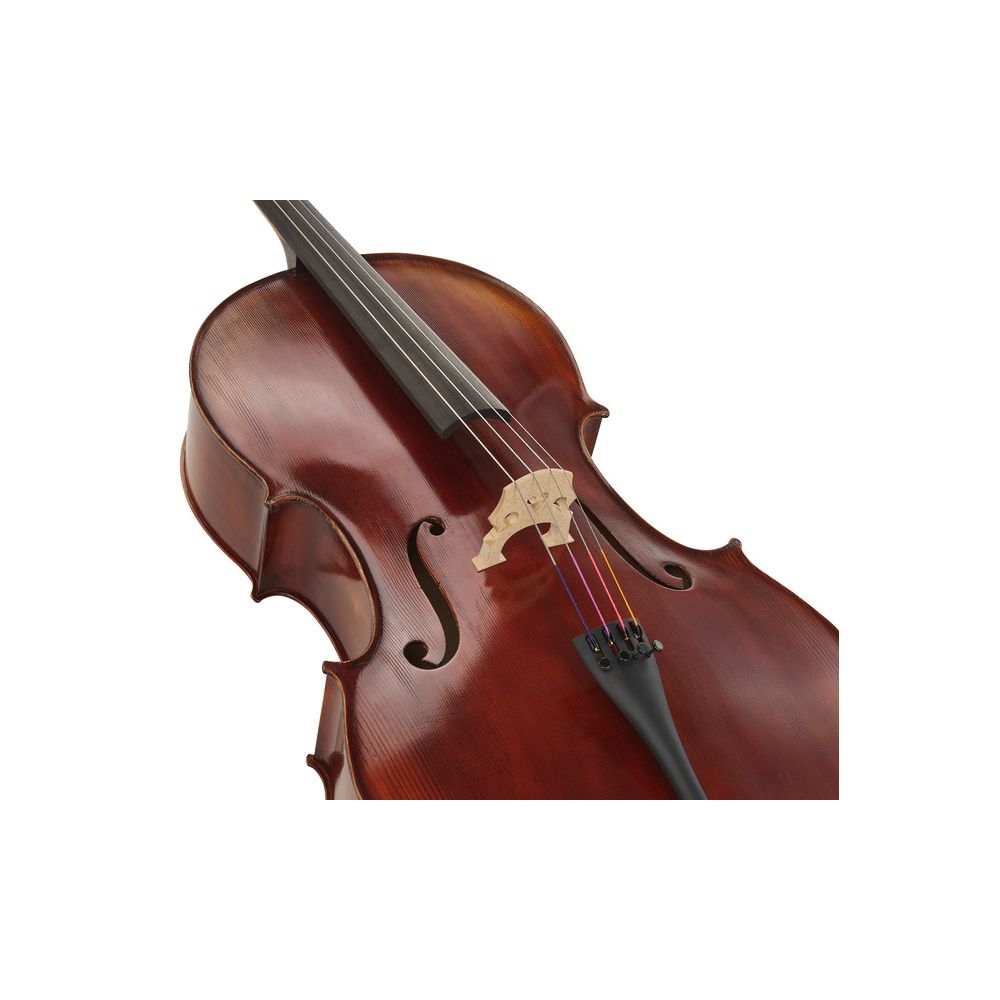 Gewa Maestro 2 Cello 4/4 – Thomann Ireland