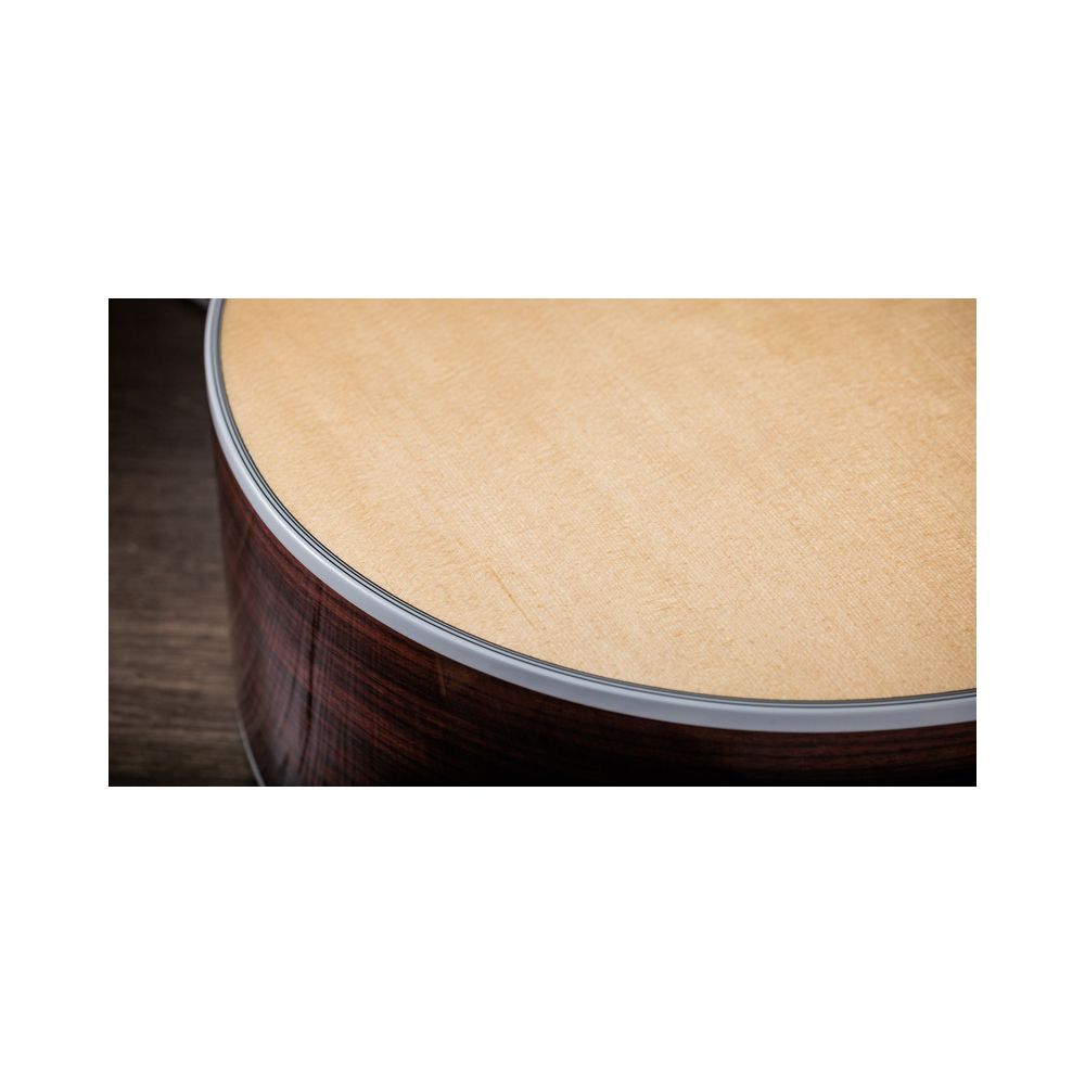 Taylor 454ce – Thomann Ireland