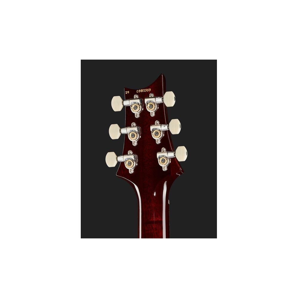 PRS DGT Birds DS – Thomann Ireland