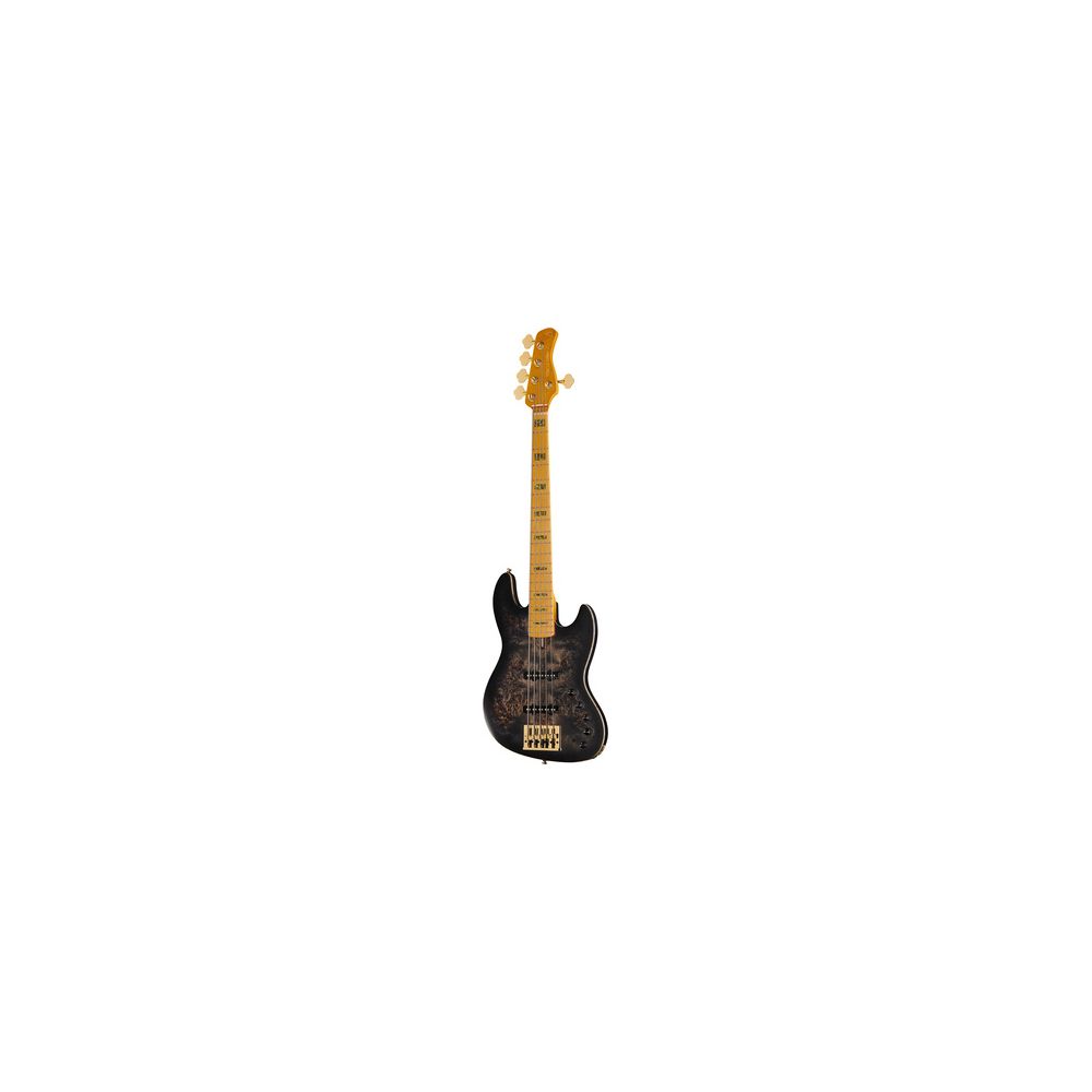 Marcus Miller V10