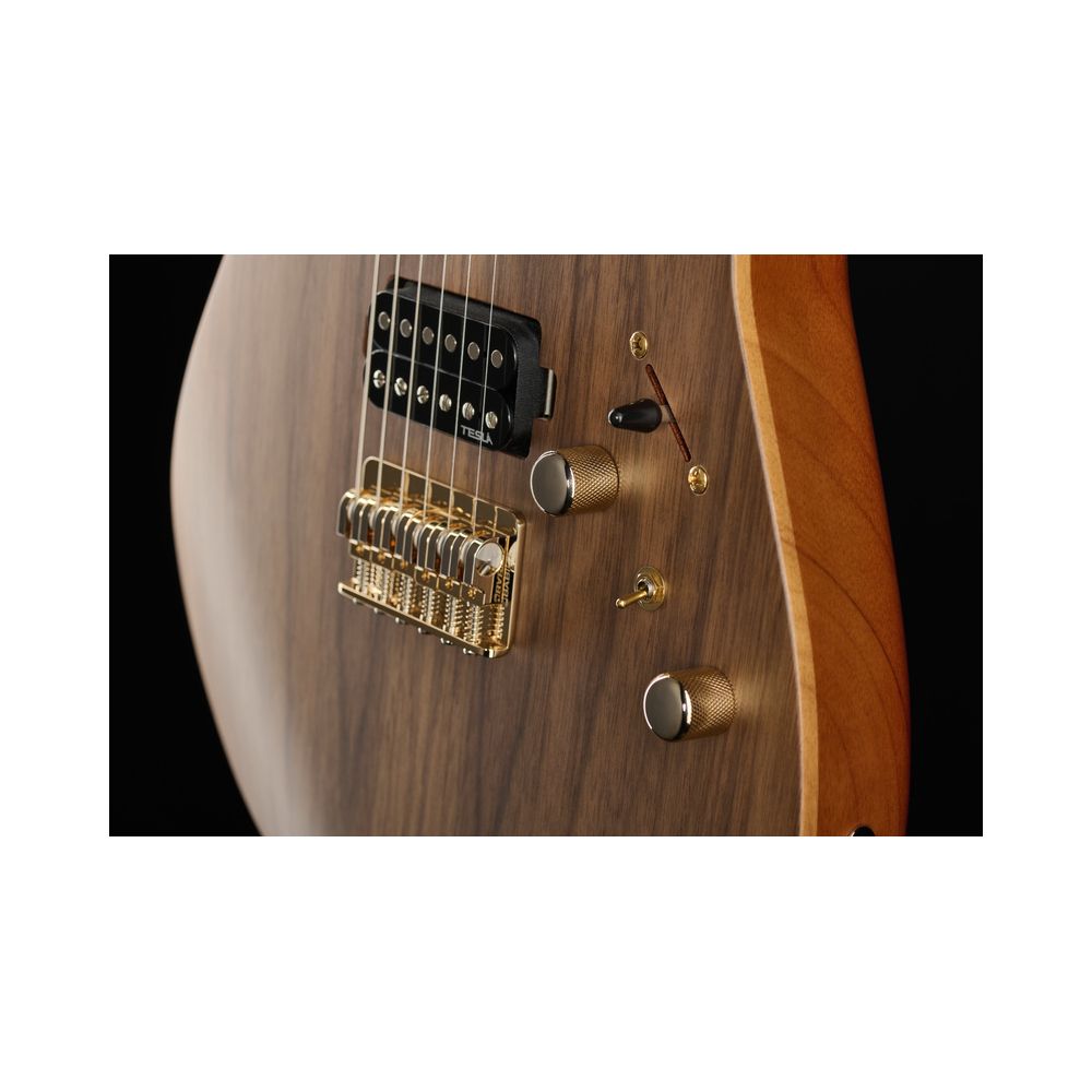 Harley Benton Guitar MAX Fusion Signa w/Case – Thomann Ireland