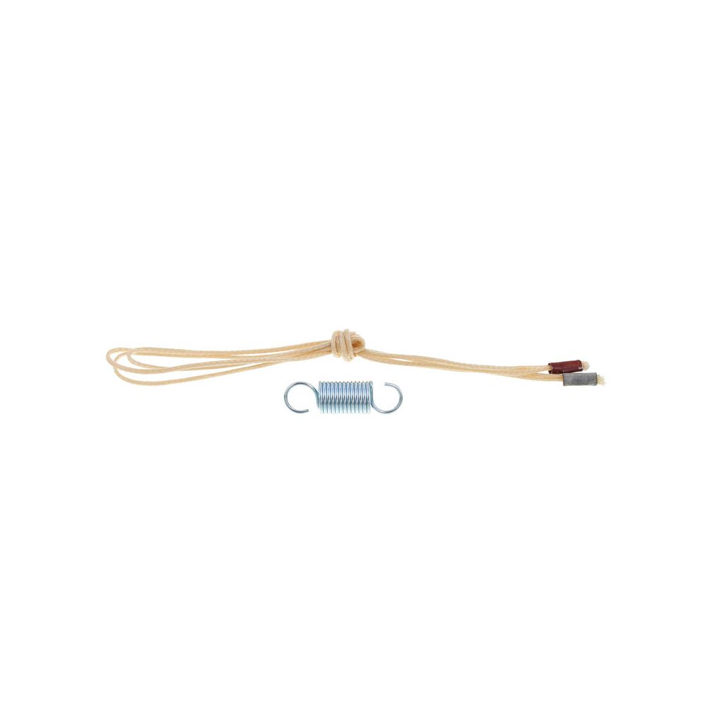 Ernie Ball Cord/Spring Kit 6157 – Thomann Ireland