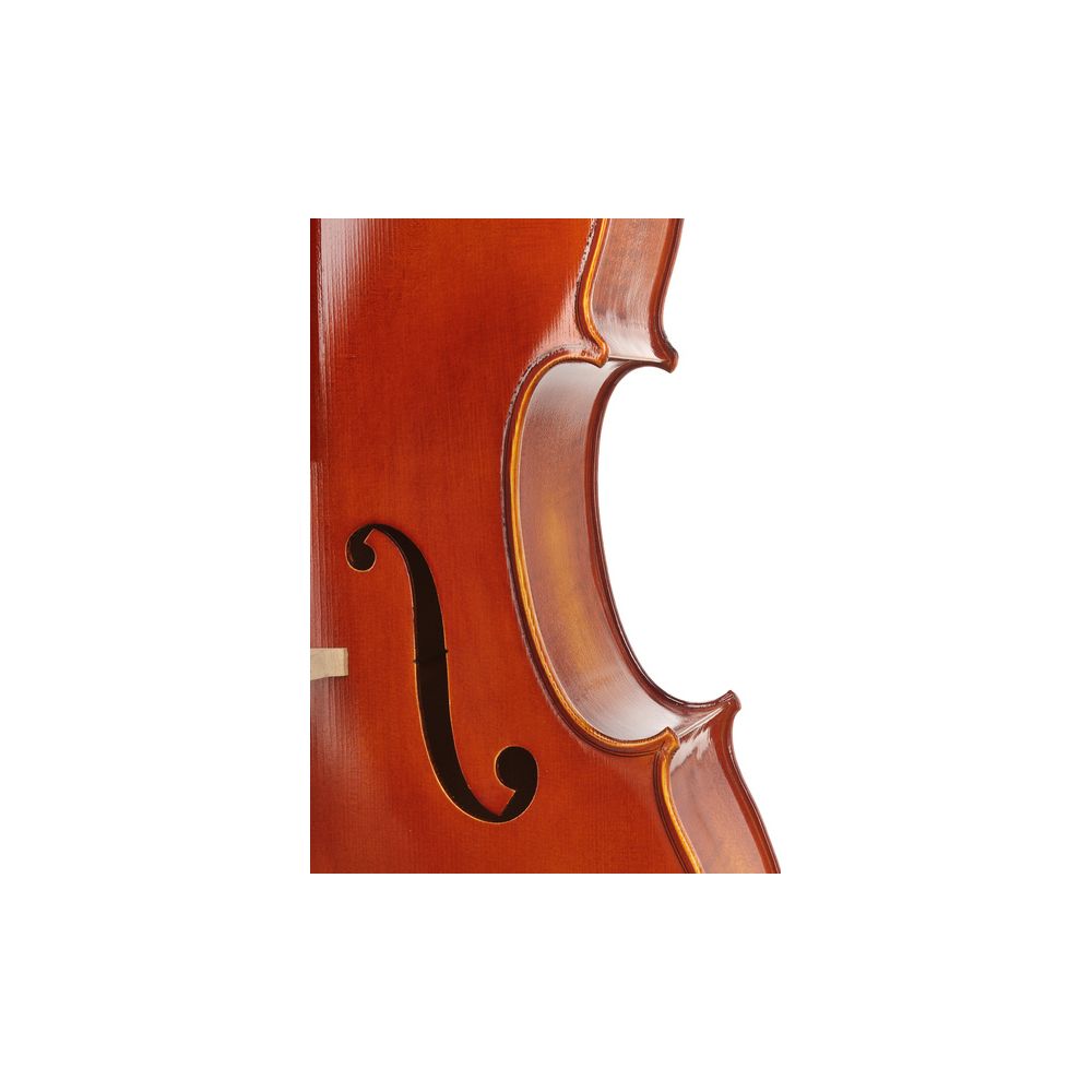 Gewa Maestro 1 Cello 4/4 – Thomann Ireland