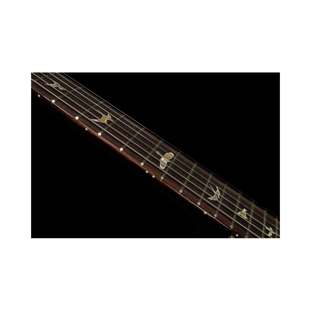 PRS Mark Tremonti FW 10 Top ST – Thomann Ireland