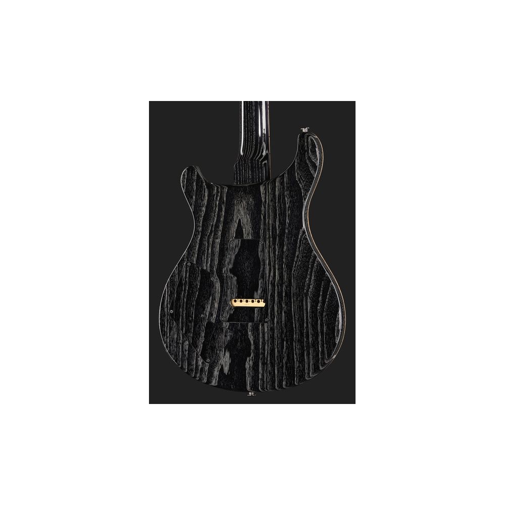 PRS Modern Eagle V Private Stock F – Thomann Ireland