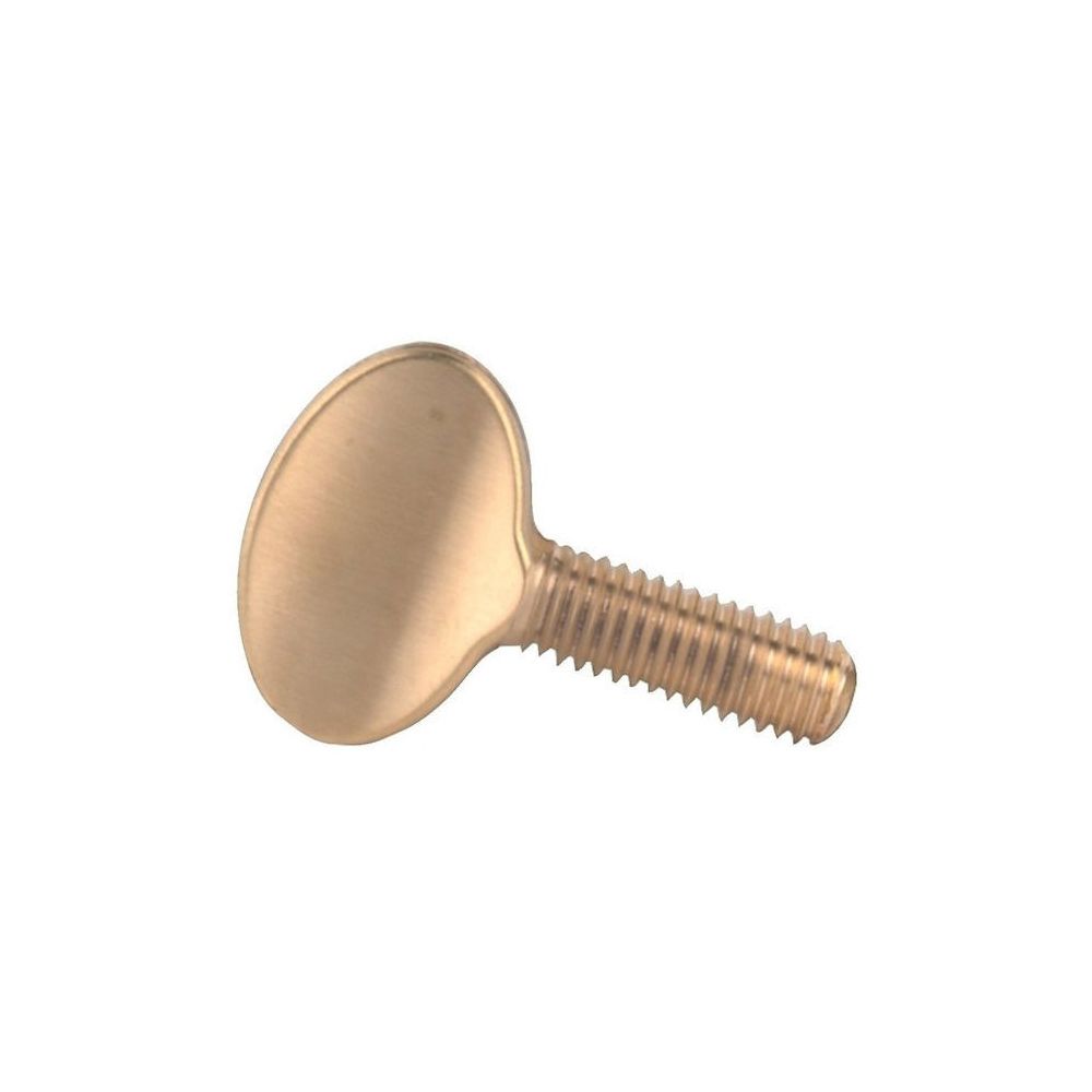 Gewa Replacement Screw for 414648 – Thomann Ireland