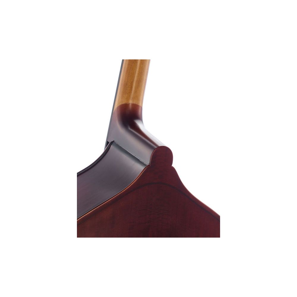 Thomann 22AS 3/4 Europe Double Bass – Thomann Ireland